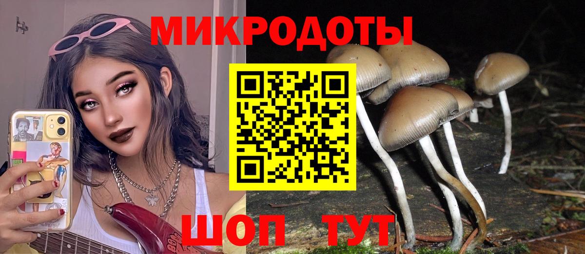 Псилоцибиновые грибы Psilocybine cubensis Магадан