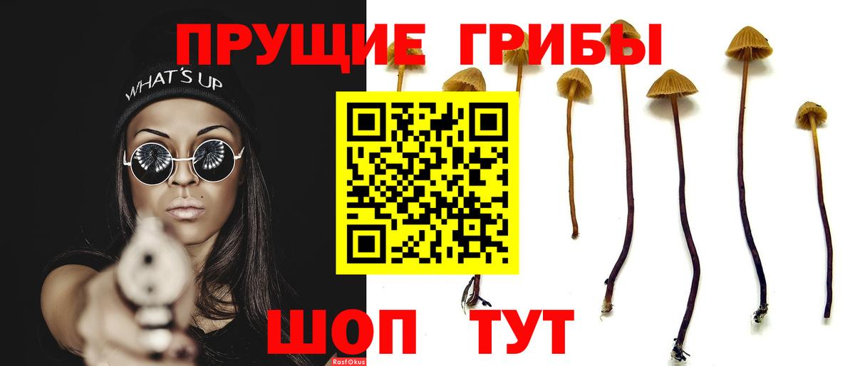 Галлюциногенные грибы Magic Shrooms  Псилоцибиновые грибы Cubensis  Магадан  Вход с VPN 